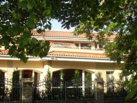 DSC06250