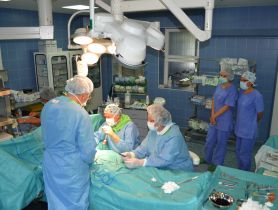 DSC 0469